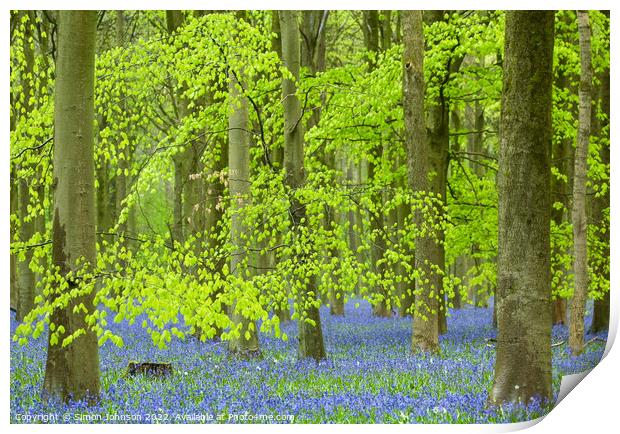 luminous Bluebell woodland Print by Simon Johnson