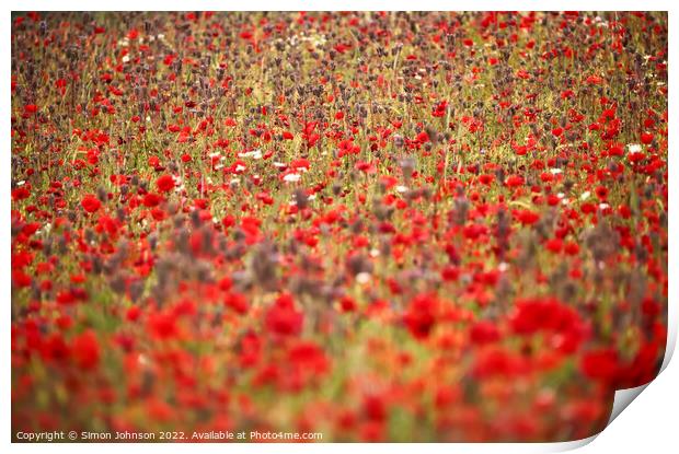 Cotswold Poppies Print by Simon Johnson