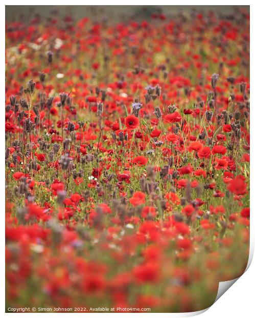 Poppys and meadow flowers  Print by Simon Johnson