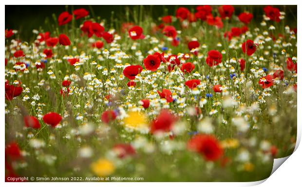 Poppy field with meadow flowers Print by Simon Johnson