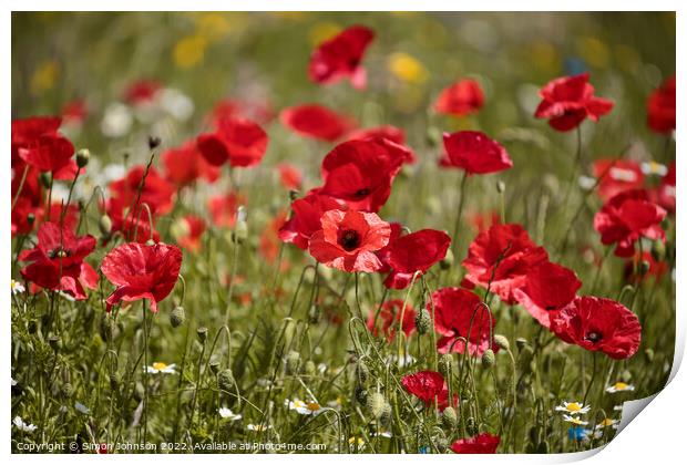 wind blown poppies Print by Simon Johnson