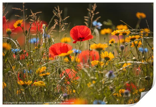 Poppies and meadow flowers Print by Simon Johnson