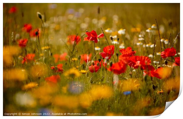 Poppys and meadow flowers  Print by Simon Johnson