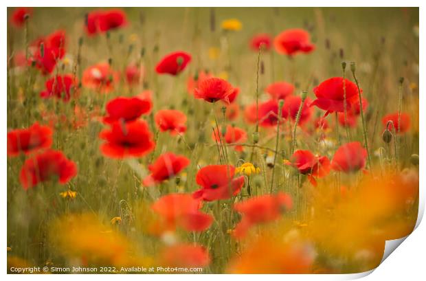 Poppy field Print by Simon Johnson