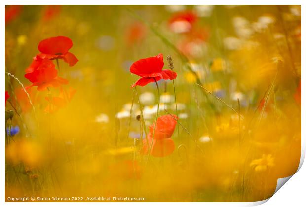  Poppys shot through grass Print by Simon Johnson