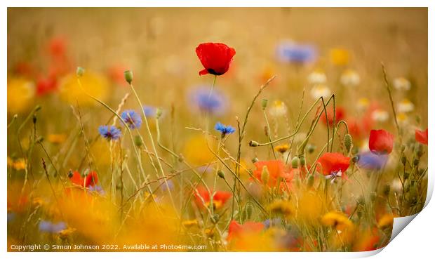 Poppy and meadow flowers Print by Simon Johnson