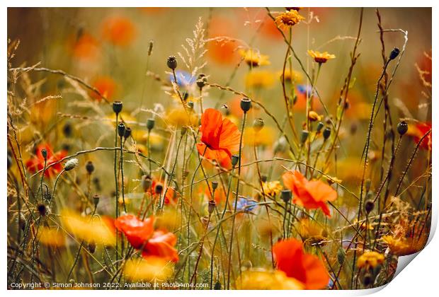 Poppies and meadow flowers  Print by Simon Johnson