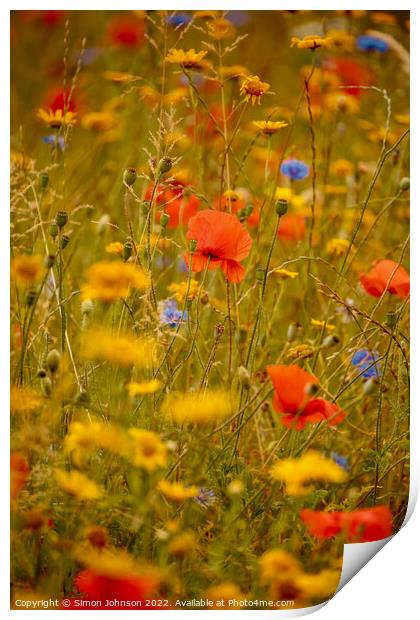poppys and meadow flowers field Print by Simon Johnson