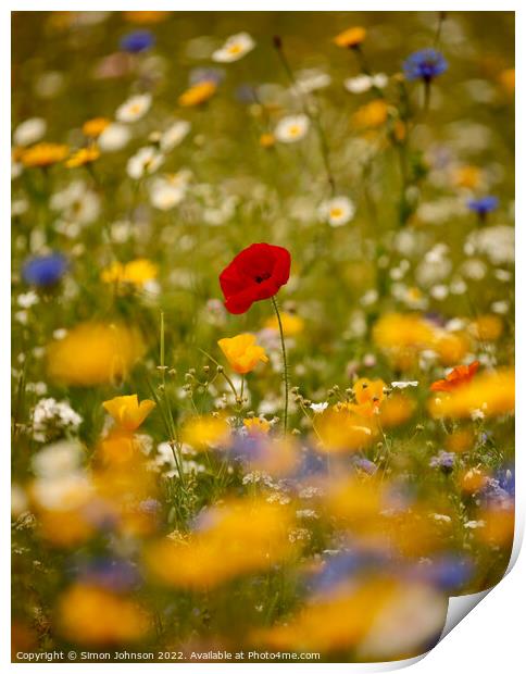 Poppy in the wild flowers Print by Simon Johnson