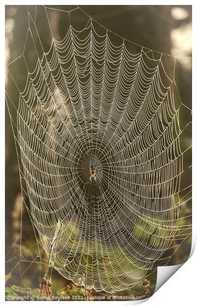 spider and his / her architecture Print by Simon Johnson