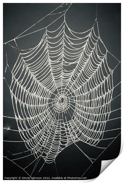 spiders web Print by Simon Johnson