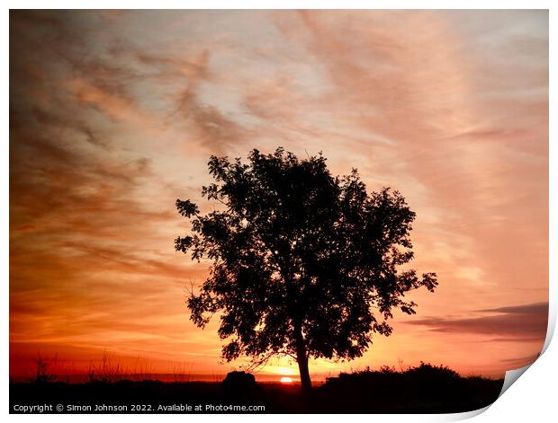 Tree silhouette at sunrise Print by Simon Johnson