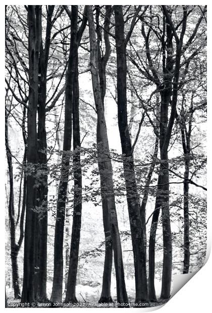 Treescape Print by Simon Johnson