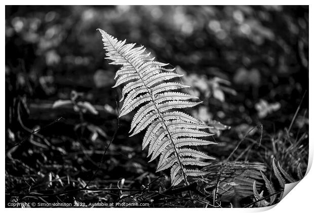 Plant leaves Print by Simon Johnson