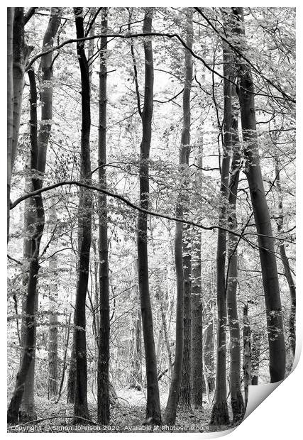 Trees Print by Simon Johnson