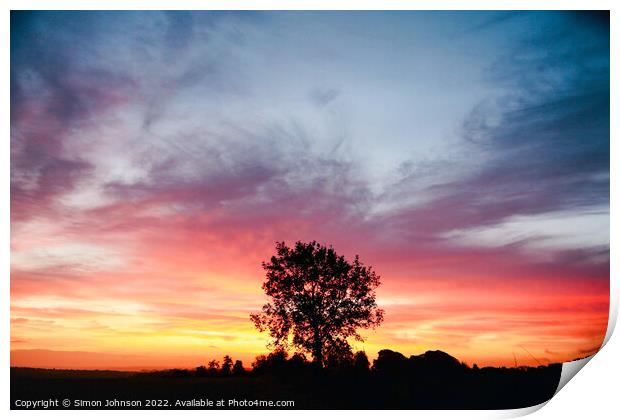 Tree silhouette at sunrise Print by Simon Johnson