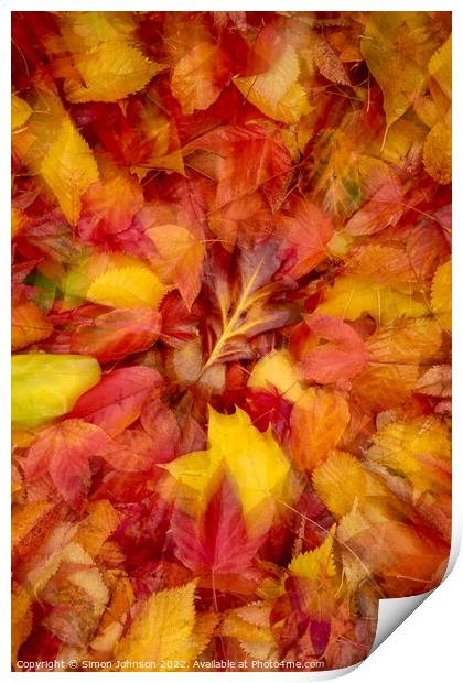 Autumn leaves Collage Print by Simon Johnson