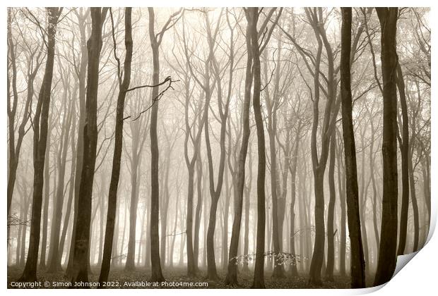 misty Beech woodland (trees) Print by Simon Johnson