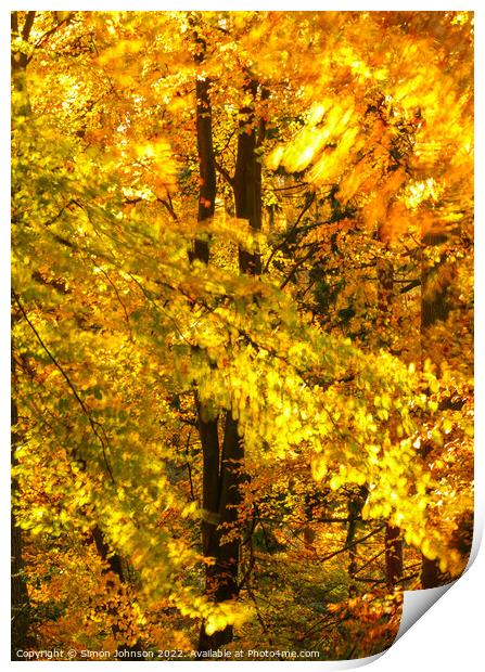 wind blown autumn woodland  Print by Simon Johnson
