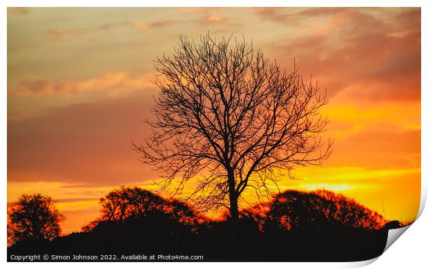 A tree in front of a sunset Print by Simon Johnson
