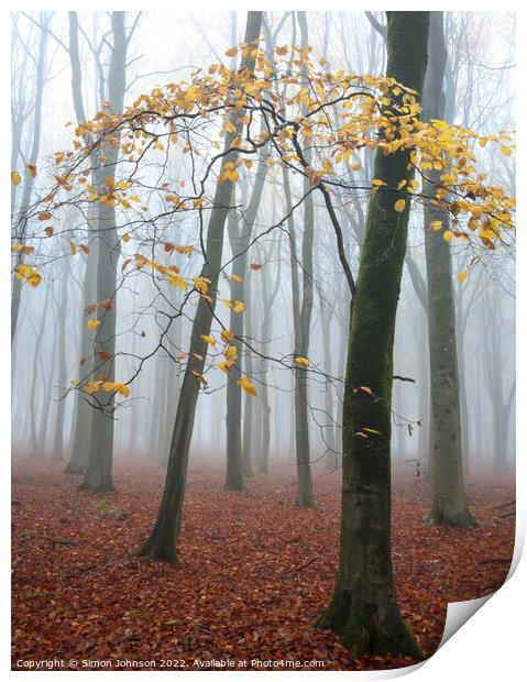 misty woodland  Print by Simon Johnson