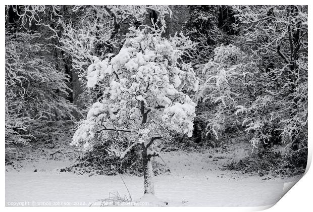 Plant tree Print by Simon Johnson