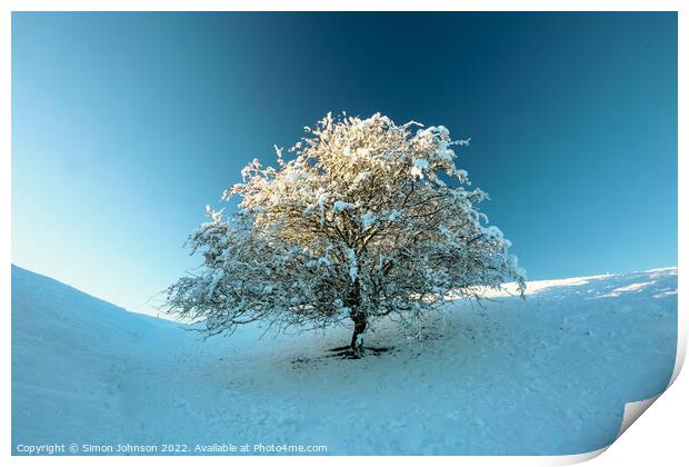 Frosted  tree Print by Simon Johnson