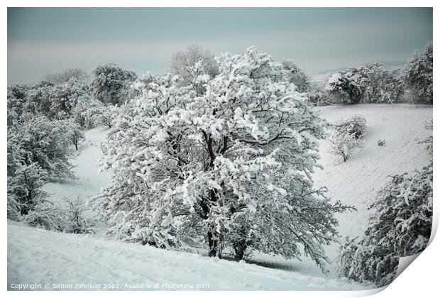 Cotswold Snow Print by Simon Johnson