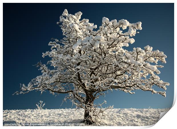 Frosted tree Print by Simon Johnson
