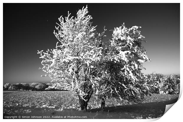 Frosted Tree and snow Print by Simon Johnson