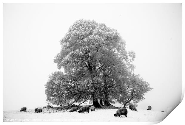 Trees sheep and Snow Print by Simon Johnson