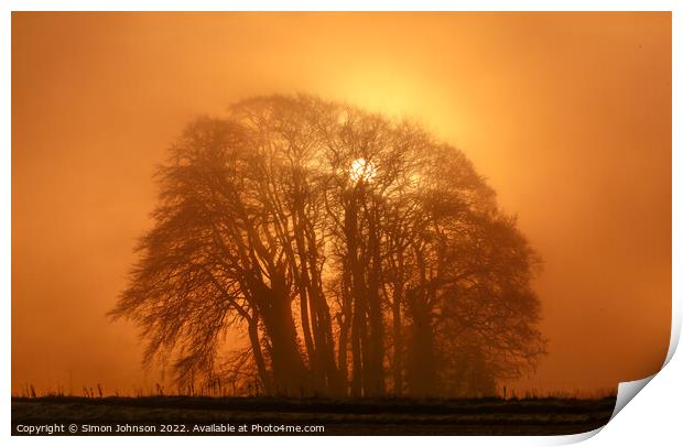 Misty trees Print by Simon Johnson