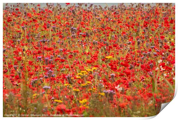 Summer poppy field Print by Simon Johnson