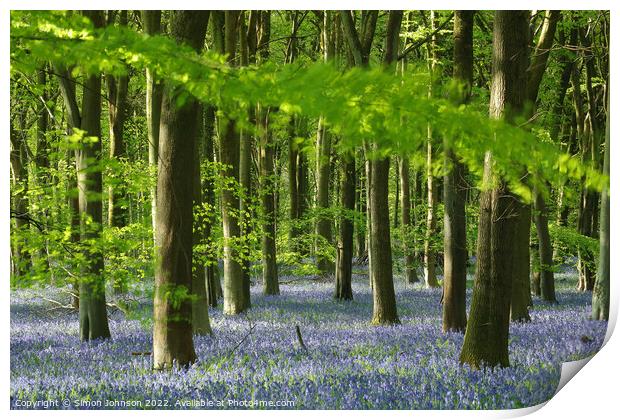 Bluebell woodland Print by Simon Johnson