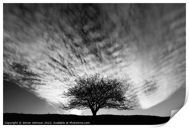 Isolated  tree Print by Simon Johnson