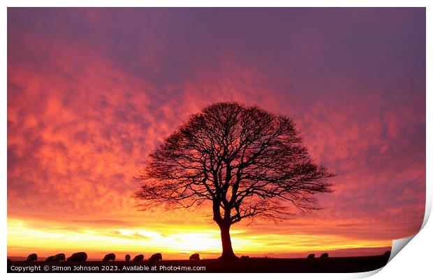 Sunrise tree Print by Simon Johnson