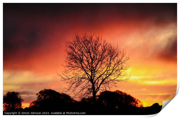 tree silhouette ~Sunrise Print by Simon Johnson