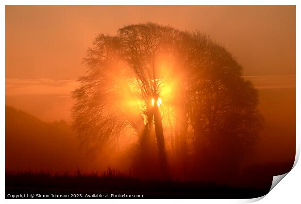 Tree silhouette at sunrise Print by Simon Johnson