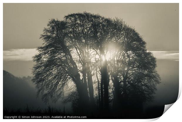tree silhouette and sunrise monochrome  Print by Simon Johnson