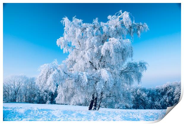 Hoar frosted tree Print by Simon Johnson