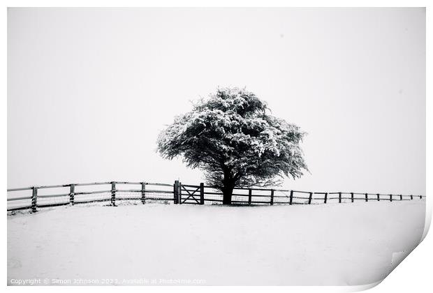 tree, snow and fence Print by Simon Johnson