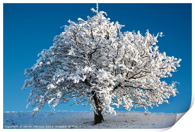 snow tree Print by Simon Johnson