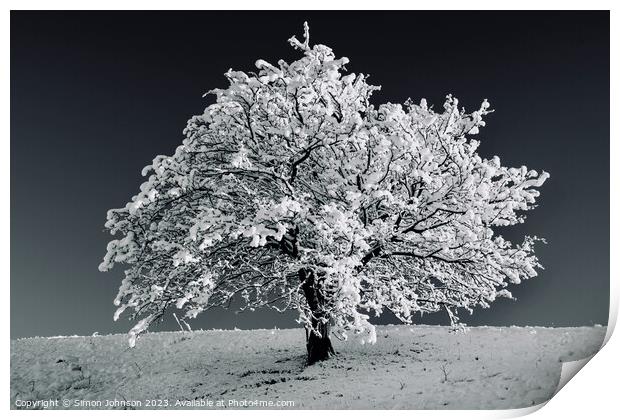Tree with Snow monochrome  Print by Simon Johnson