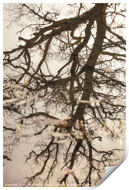 tree reflections Print by Simon Johnson
