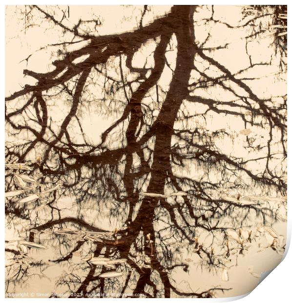 tree reflections Print by Simon Johnson