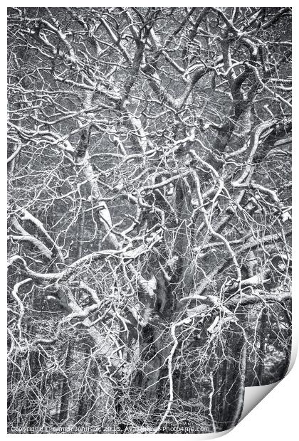 Frosted  tree  Print by Simon Johnson