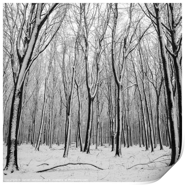 Woodland Snow Print by Simon Johnson