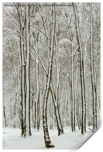 Frosted trees Print by Simon Johnson
