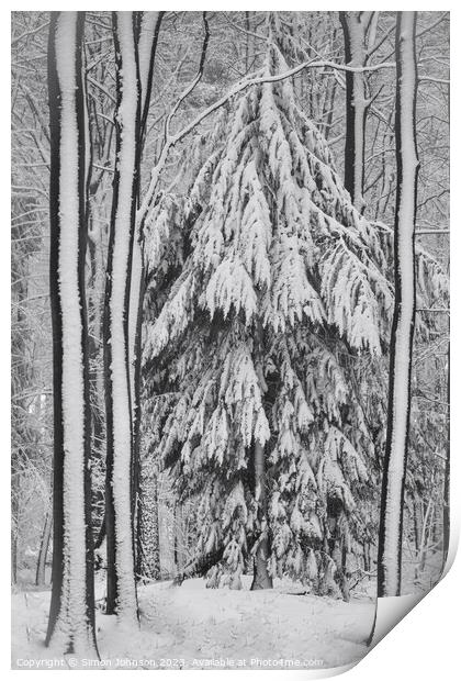 Snowy, frosted trees Print by Simon Johnson