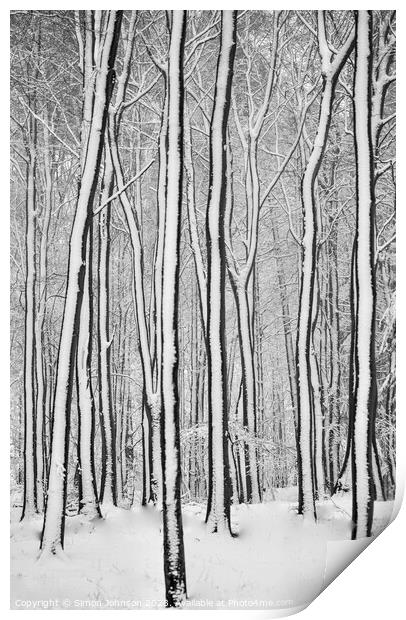 woodland Patterns  Print by Simon Johnson